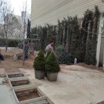 آبیاری فضای سبز مجتمع در محله دروس تهران